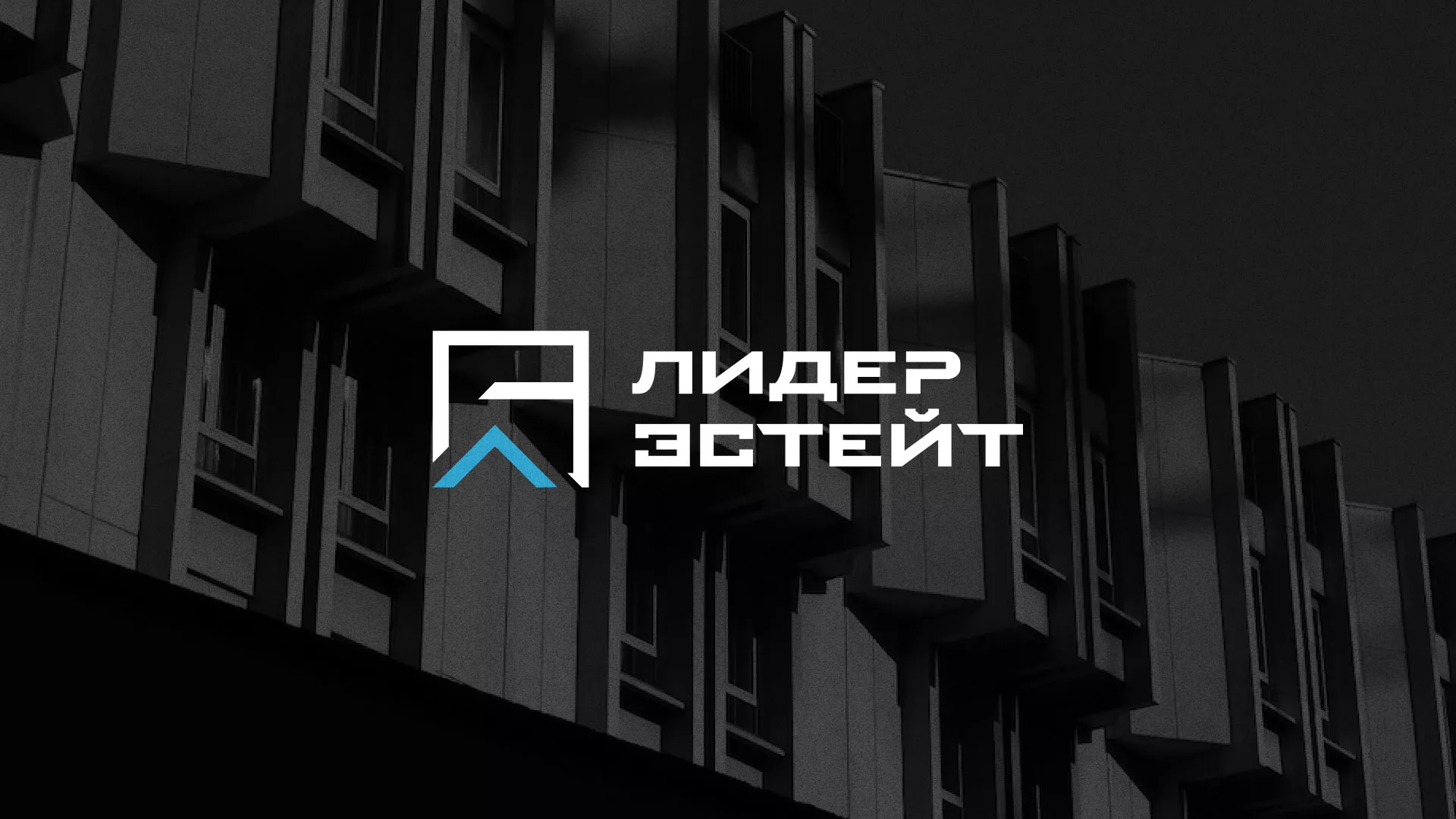 Разработка логотипа агентства недвижимости «Лидер Эстейт» в Бавлах